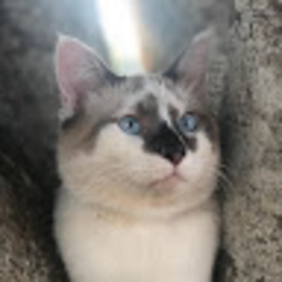 Meet your Posher, Shawn - Picture 1 of 1